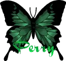 Perry