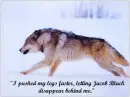 Jacob Black at the end of Eclipse