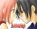 sakura