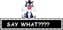Say what??