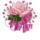 Rose/corina