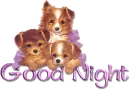 Cute puppies