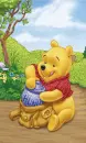 Pooh & Hunny