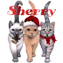 Cat with Sherry