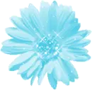 BLUE FLOWER