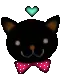 CUTE KITTY