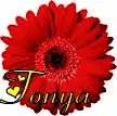 tonya
