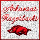arkansas razorbacks