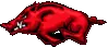arkansas razorback