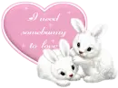I need somebunny to love