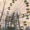 Carnival