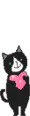 cute kitty