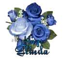Glinda Roses