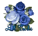 Lil Tude Rose