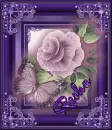 Resha Butterfly and Rose