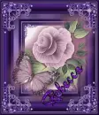 Rebecca Butterfly and Rose