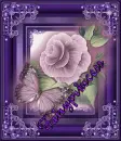 Fairtyprincess Butterfly and Rose