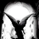 Black &White Angel