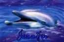 Jennifer Dolphin