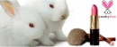 Choose Cruelty Free