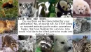 Stop killing animals