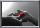 FOR MY ALY