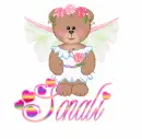 Sonali Rose Fairy Bear