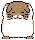 Hamster 