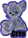 cat with stars