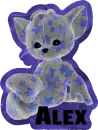 cat with stars