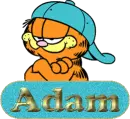 adam