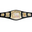 wwe champship title