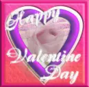 Happy Valentine *Pink Rose*