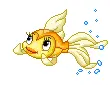 princess fish