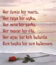 AÅŸk (Love)