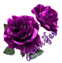 Jennifer Purple Roses
