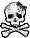 black n white skull