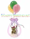 Bear/b-day