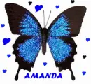 AMANDA