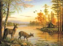 deer