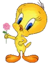 tweety