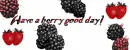 Berry Good Day
