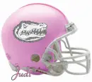 Florida Gators Helmet with Name and Glitter