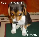 sorry