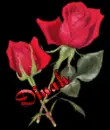 Dinah Rose