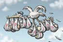Overpopulation