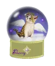 sherry