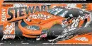 tony stewart