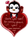 Cant u see?