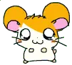 hamtaro